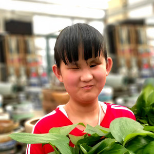 张晨英资料,张晨英最新歌曲,张晨英MV视频,张晨英音乐专辑,张晨英好听的歌