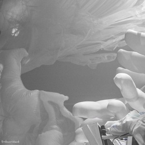 島上资料,島上最新歌曲,島上MV视频,島上音乐专辑,島上好听的歌