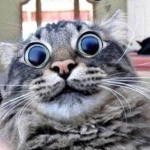 Gabriel Lukosz资料,Gabriel Lukosz最新歌曲,Gabriel LukoszMV视频,Gabriel Lukosz音乐专辑,Gabriel Lukosz好听的歌