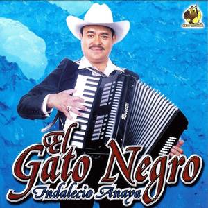 El Gato Negro资料,El Gato Negro最新歌曲,El Gato NegroMV视频,El Gato Negro音乐专辑,El Gato Negro好听的歌