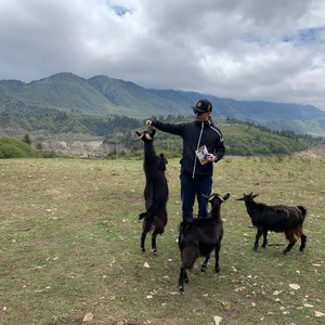 pongo先生资料,pongo先生最新歌曲,pongo先生MV视频,pongo先生音乐专辑,pongo先生好听的歌