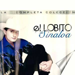 El Lobito de Sinaloa资料,El Lobito de Sinaloa最新歌曲,El Lobito de SinaloaMV视频,El Lobito de Sinaloa音乐专辑,El Lobito de Sinaloa好听的歌