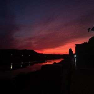 冬眠