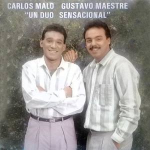 Carlos Malo y Gustavo Maestre