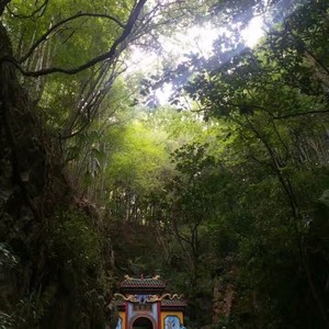 桃子爸爸是散仙人资料,桃子爸爸是散仙人最新歌曲,桃子爸爸是散仙人MV视频,桃子爸爸是散仙人音乐专辑,桃子爸爸是散仙人好听的歌