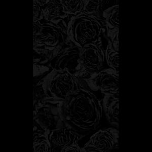 Absolute Terror资料,Absolute Terror最新歌曲,Absolute TerrorMV视频,Absolute Terror音乐专辑,Absolute Terror好听的歌