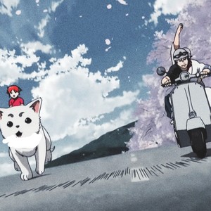 白鹏sir资料,白鹏sir最新歌曲,白鹏sirMV视频,白鹏sir音乐专辑,白鹏sir好听的歌