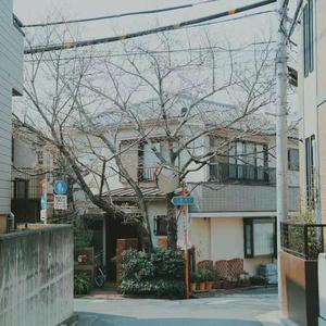 透心凉资料,透心凉最新歌曲,透心凉MV视频,透心凉音乐专辑,透心凉好听的歌