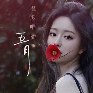 五月资料,五月最新歌曲,五月MV视频,五月音乐专辑,五月好听的歌