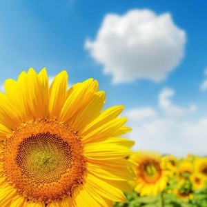 梓悦L.Y资料,梓悦L.Y最新歌曲,梓悦L.YMV视频,梓悦L.Y音乐专辑,梓悦L.Y好听的歌