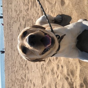 托塔李天王资料,托塔李天王最新歌曲,托塔李天王MV视频,托塔李天王音乐专辑,托塔李天王好听的歌