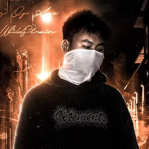 WildStrain资料,WildStrain最新歌曲,WildStrainMV视频,WildStrain音乐专辑,WildStrain好听的歌