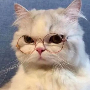 是可凡丫资料,是可凡丫最新歌曲,是可凡丫MV视频,是可凡丫音乐专辑,是可凡丫好听的歌