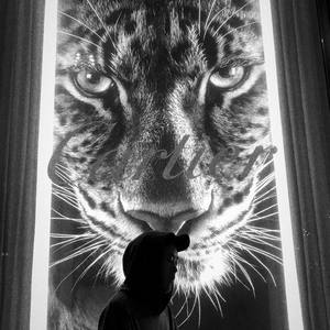 MST资料,MST最新歌曲,MSTMV视频,MST音乐专辑,MST好听的歌