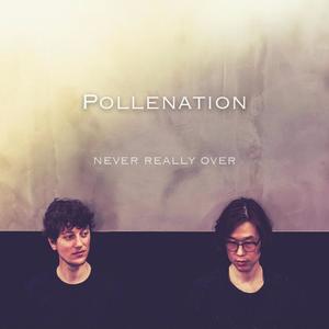 Pollenation资料,Pollenation最新歌曲,PollenationMV视频,Pollenation音乐专辑,Pollenation好听的歌