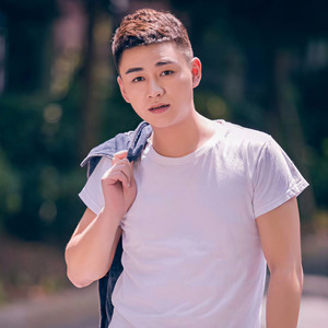 可可托海的牧羊人 原唱:王琪