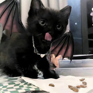 SY.苏浔.资料,SY.苏浔.最新歌曲,SY.苏浔.MV视频,SY.苏浔.音乐专辑,SY.苏浔.好听的歌