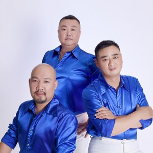 霸桥柳