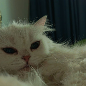 缘寻资料,缘寻最新歌曲,缘寻MV视频,缘寻音乐专辑,缘寻好听的歌