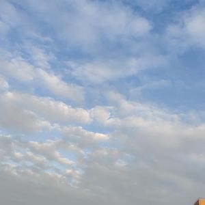 ___MYa向日葵ll资料,___MYa向日葵ll最新歌曲,___MYa向日葵llMV视频,___MYa向日葵ll音乐专辑,___MYa向日葵ll好听的歌