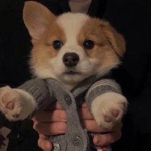 卢信超资料,卢信超最新歌曲,卢信超MV视频,卢信超音乐专辑,卢信超好听的歌