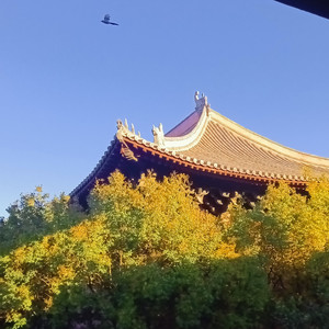 瑶光资料,瑶光最新歌曲,瑶光MV视频,瑶光音乐专辑,瑶光好听的歌