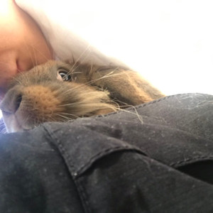 丑兔子资料,丑兔子最新歌曲,丑兔子MV视频,丑兔子音乐专辑,丑兔子好听的歌