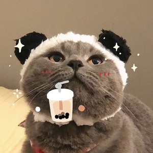 青山资料,青山最新歌曲,青山MV视频,青山音乐专辑,青山好听的歌