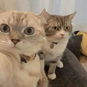 白雨洛资料,白雨洛最新歌曲,白雨洛MV视频,白雨洛音乐专辑,白雨洛好听的歌