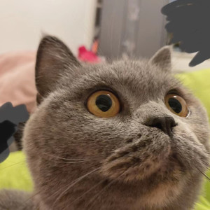 GG_高璟资料,GG_高璟最新歌曲,GG_高璟MV视频,GG_高璟音乐专辑,GG_高璟好听的歌