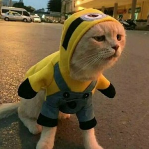 臣臣同学资料,臣臣同学最新歌曲,臣臣同学MV视频,臣臣同学音乐专辑,臣臣同学好听的歌