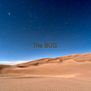 The Bug