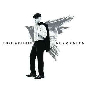 Blackbird