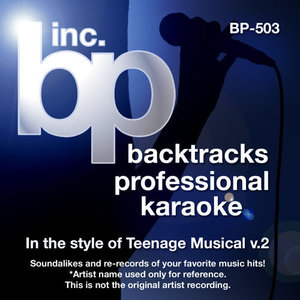 Backtrack Professional Karaoke Band