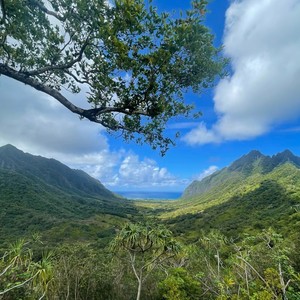 Dylan资料,Dylan最新歌曲,DylanMV视频,Dylan音乐专辑,Dylan好听的歌