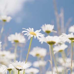李思豪资料,李思豪最新歌曲,李思豪MV视频,李思豪音乐专辑,李思豪好听的歌