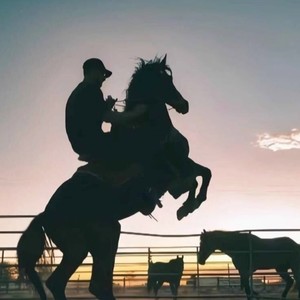 季新羽资料,季新羽最新歌曲,季新羽MV视频,季新羽音乐专辑,季新羽好听的歌