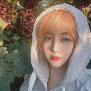 关于月资料,关于月最新歌曲,关于月MV视频,关于月音乐专辑,关于月好听的歌