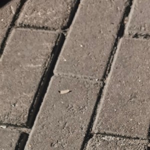 C015资料,C015最新歌曲,C015MV视频,C015音乐专辑,C015好听的歌