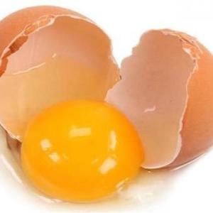 Tact Tokyo资料,Tact Tokyo最新歌曲,Tact TokyoMV视频,Tact Tokyo音乐专辑,Tact Tokyo好听的歌