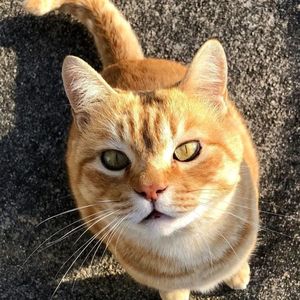 王子路资料,王子路最新歌曲,王子路MV视频,王子路音乐专辑,王子路好听的歌