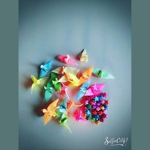 皇上资料,皇上最新歌曲,皇上MV视频,皇上音乐专辑,皇上好听的歌