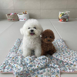 parko资料,parko最新歌曲,parkoMV视频,parko音乐专辑,parko好听的歌