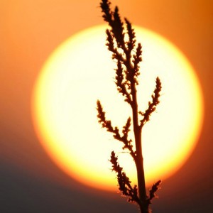 白饭沙拉资料,白饭沙拉最新歌曲,白饭沙拉MV视频,白饭沙拉音乐专辑,白饭沙拉好听的歌