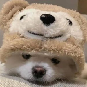大圈圈
