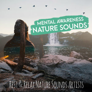 Relax Nature Sounds Artists