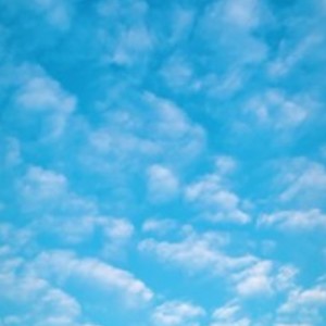 9Zi资料,9Zi最新歌曲,9ZiMV视频,9Zi音乐专辑,9Zi好听的歌