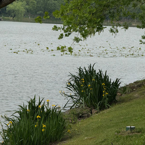 康琦雯资料,康琦雯最新歌曲,康琦雯MV视频,康琦雯音乐专辑,康琦雯好听的歌