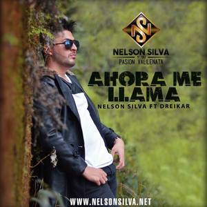 Nelson Silva资料,Nelson Silva最新歌曲,Nelson SilvaMV视频,Nelson Silva音乐专辑,Nelson Silva好听的歌