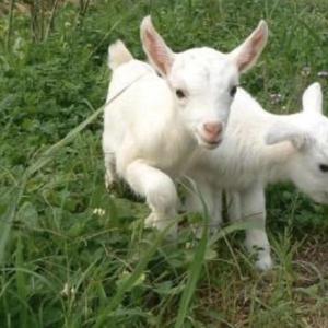 Wish U By My Side prod+discent